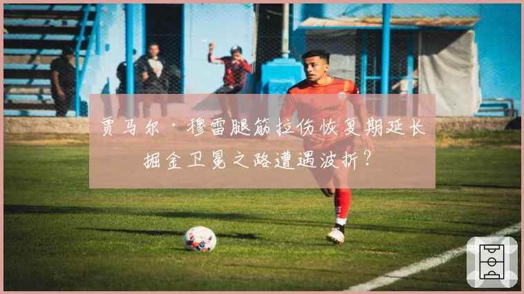 贾马尔·穆雷腿筋拉伤恢复期延长，掘金卫冕之路遭遇波折？