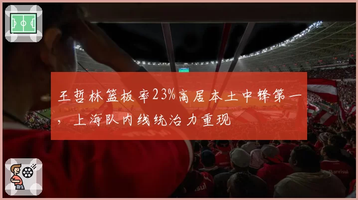 王哲林篮板率23%高居本土中锋第一，上海队内线统治力重现